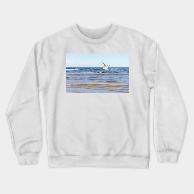 White seagull flying above the water to the left with its wings open Crewneck Sweatshirt by lena-maximova